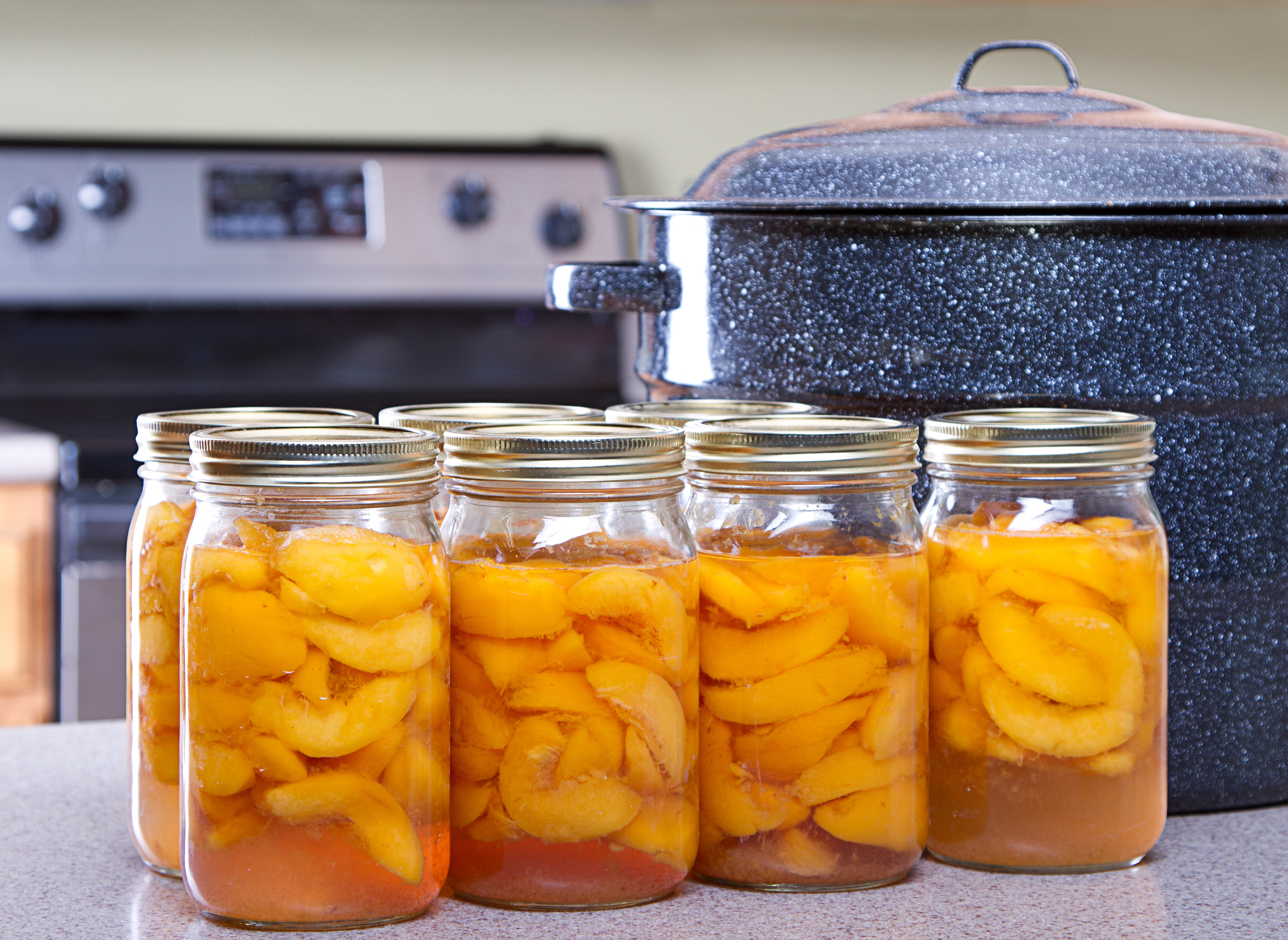 WaterBathCanning