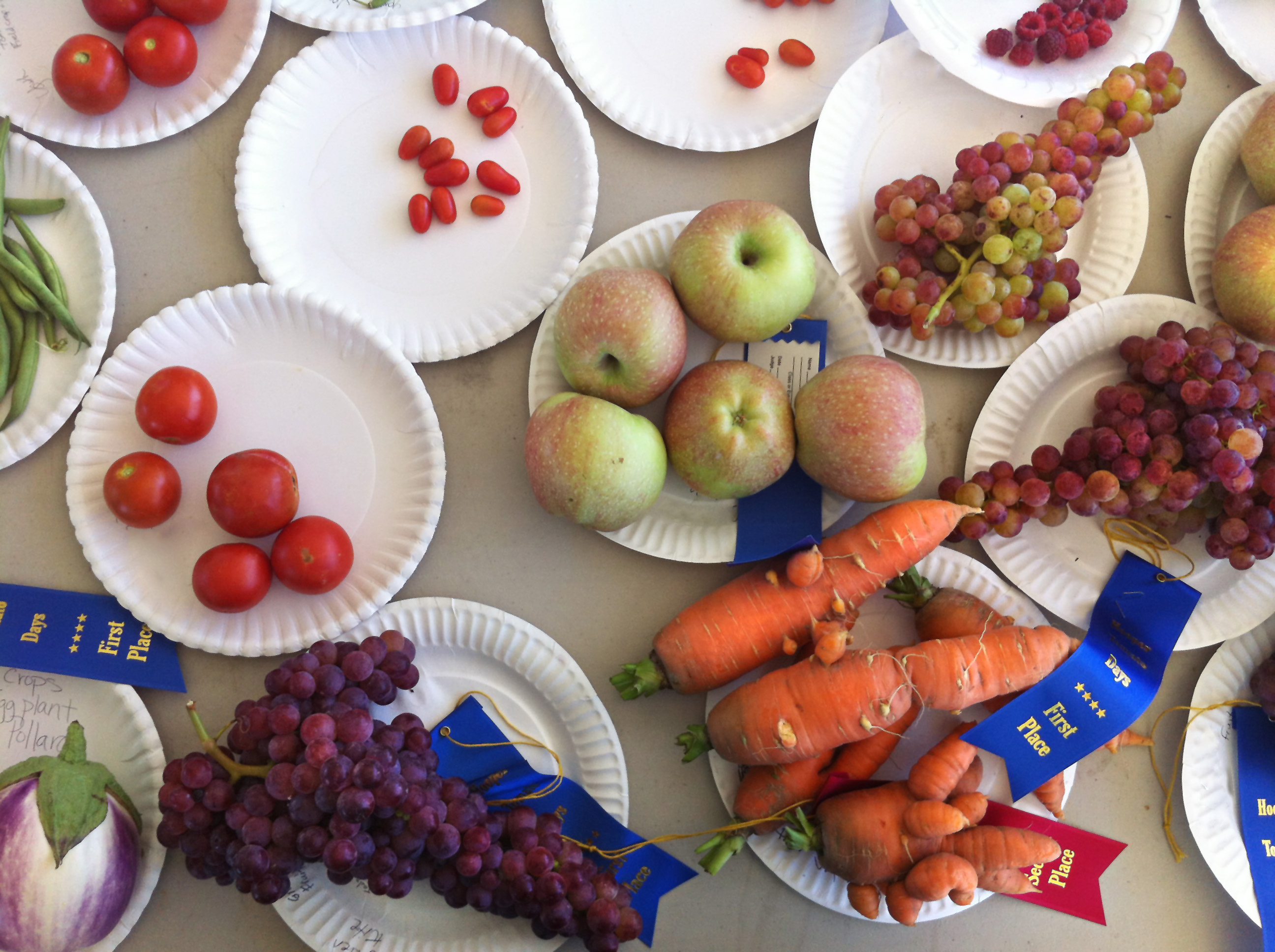 blue ribbon produce